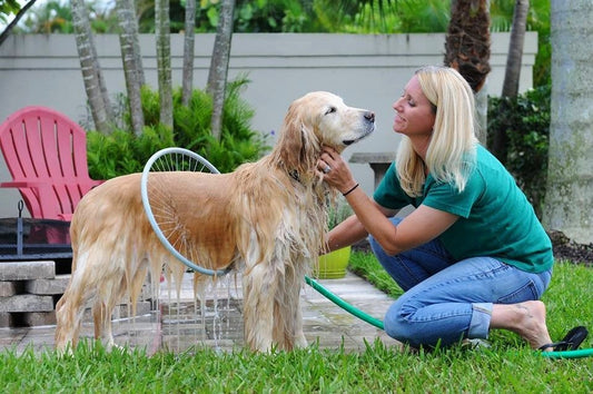Pet Wash Circle with Splash-Free Shower